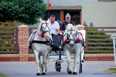 541785180_122144837768724287_8156458396016109987_n