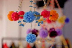 569028236_122149485134724287_1815989840822995296_n